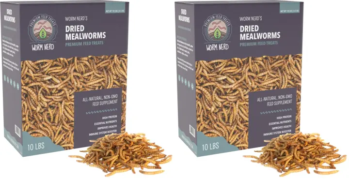 10 lb Dried Mealworms — High-Protein Non-GMO Treat for Birds & Pets