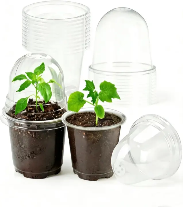 Clear 4-Inch Plastic Seedling Pots with Humidity Domes — 10-Pack